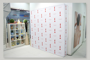 Clarins Skin Spa 1